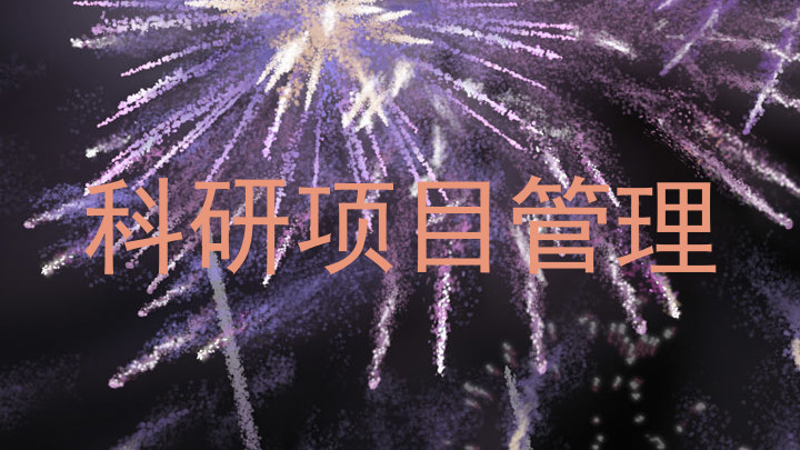 科研项目管理