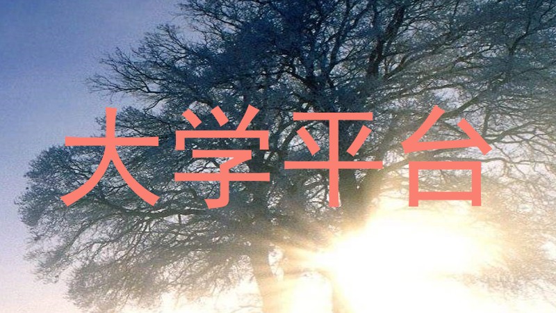大学平台