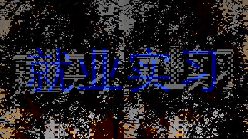 就业实习