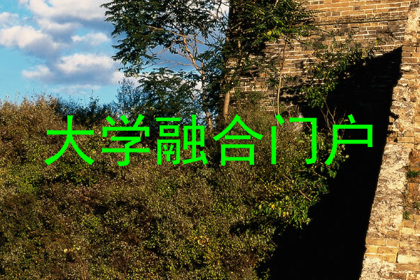 大学融合门户