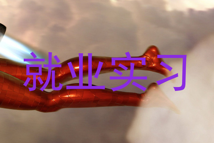 就业实习