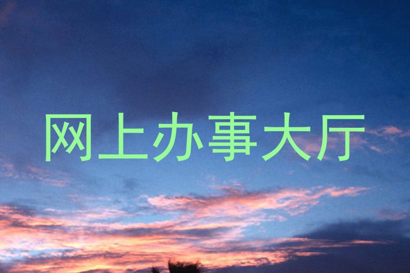 网上办事大厅
