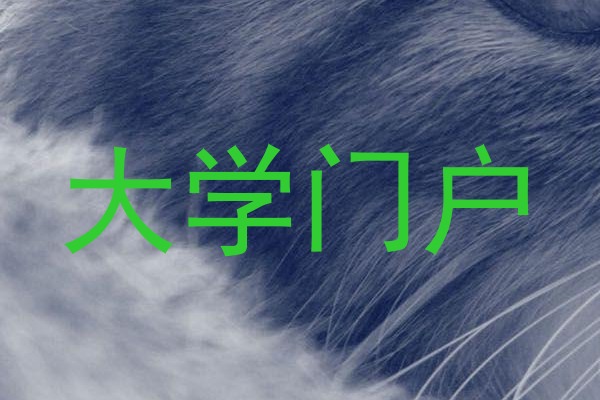 大学门户