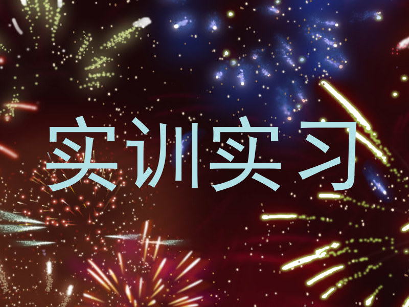 实训实习
