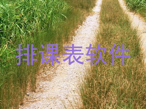 排课表软件