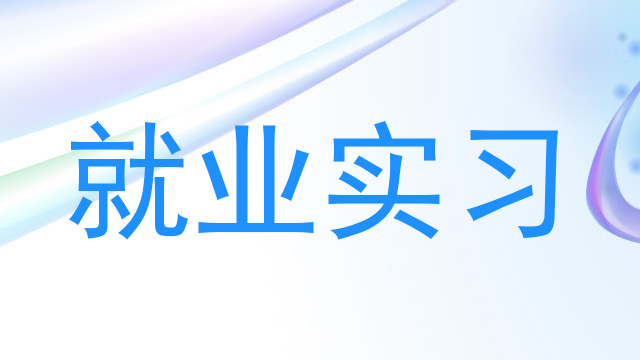 就业实习