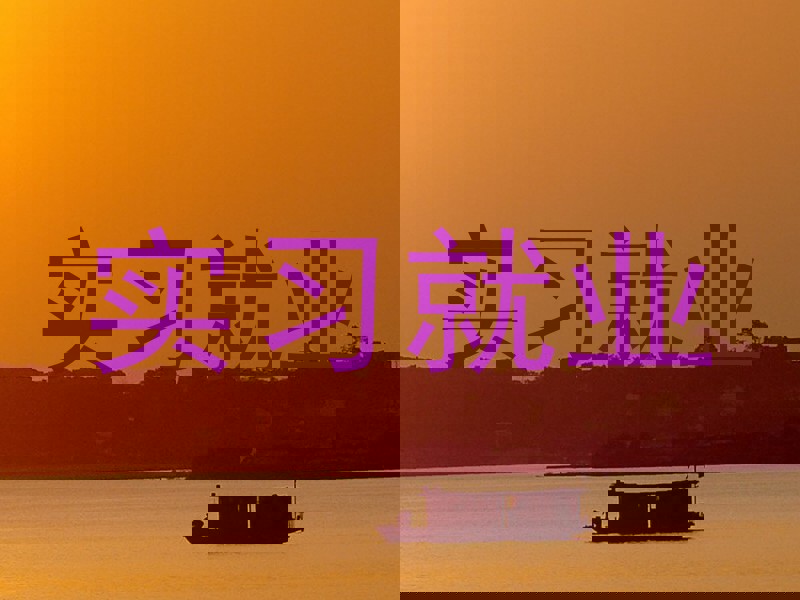实习就业