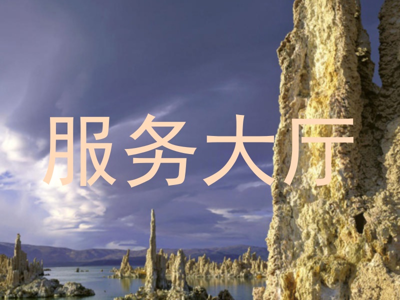 服务大厅