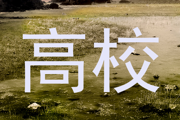 高校