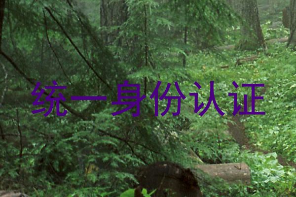 统一身份认证