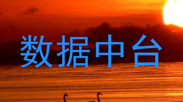 数据中台