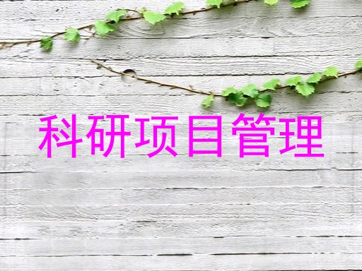科研项目管理