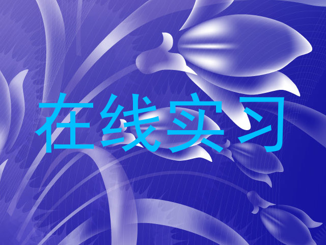 在线实习