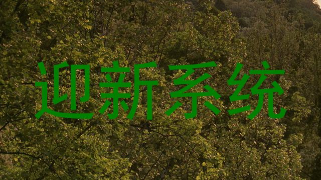 迎新系统