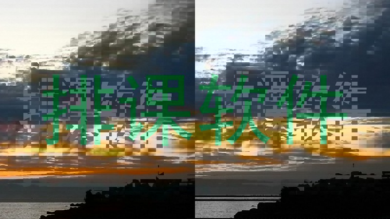 排课软件