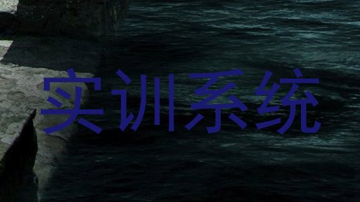 实训系统