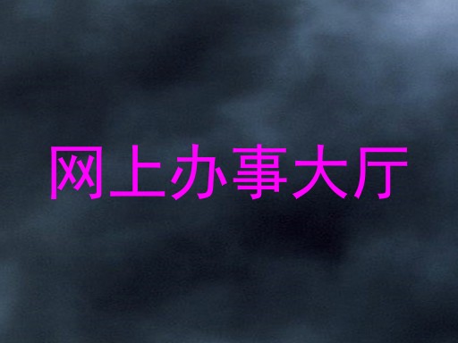 网上办事大厅