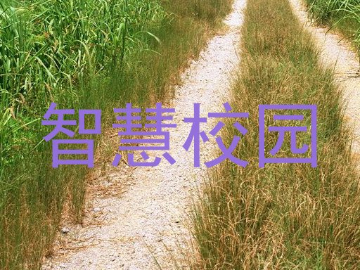 智慧校园