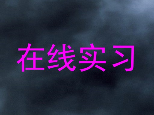 在线实习