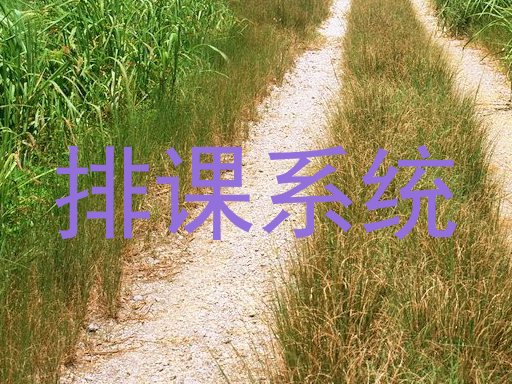 排课系统