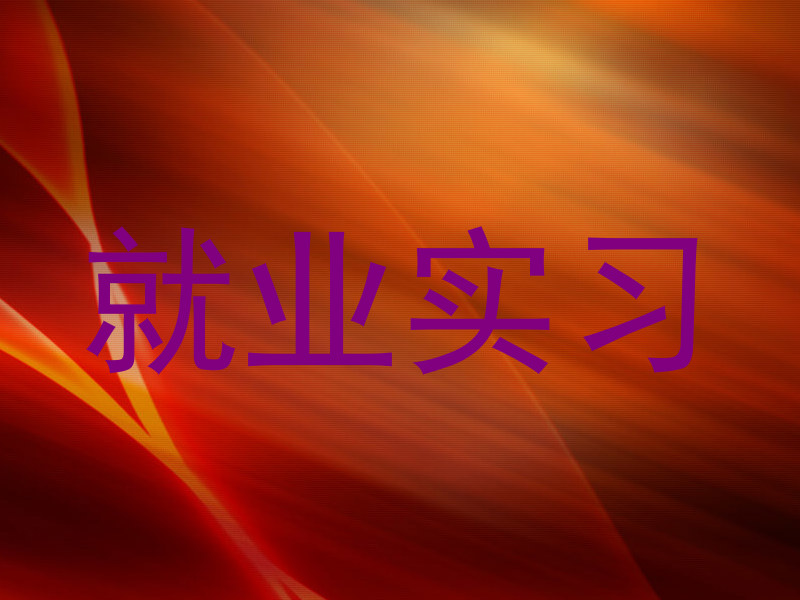 就业实习