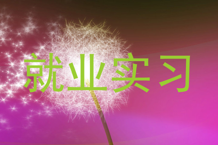 就业实习