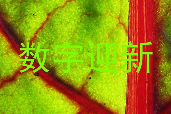 数字迎新