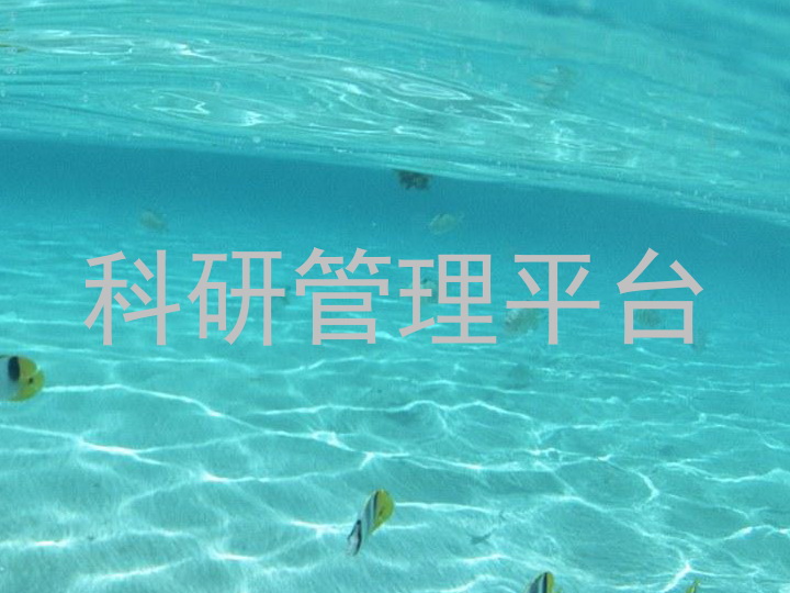 科研管理平台