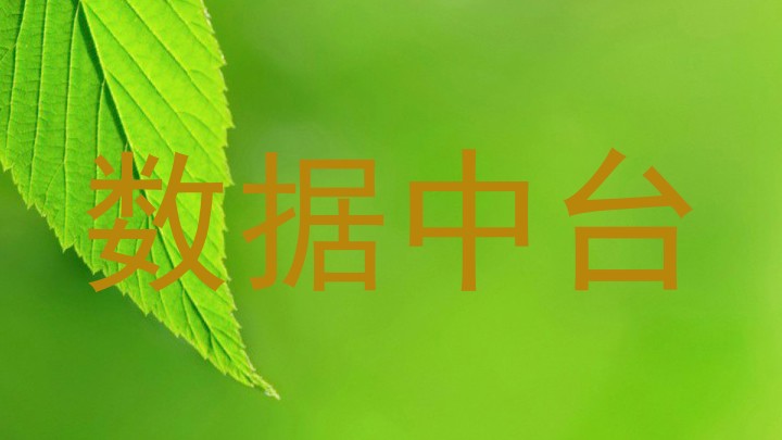 数据中台