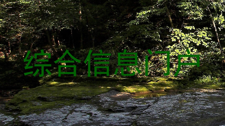 综合信息门户