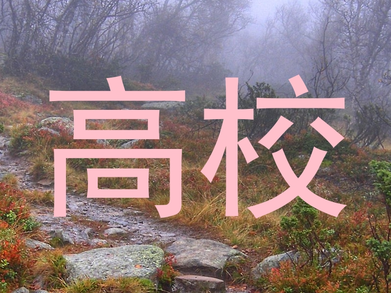 高校
