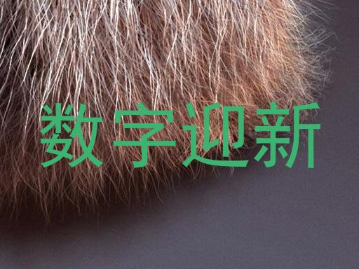 数字迎新