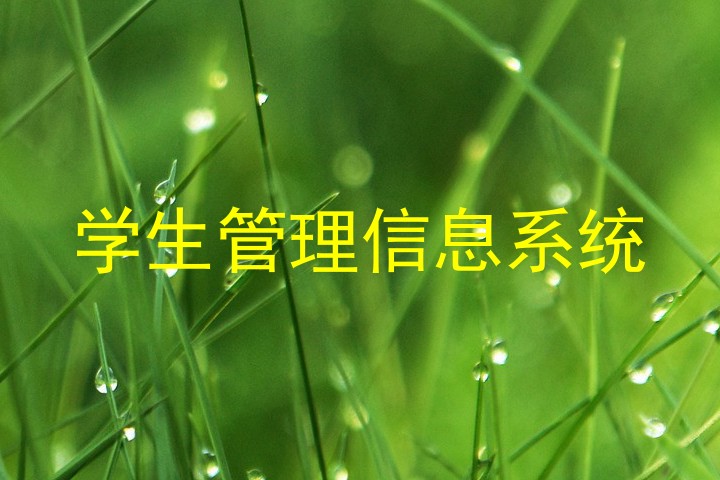 学生管理信息系统