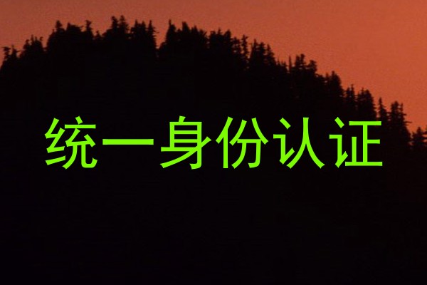统一身份认证