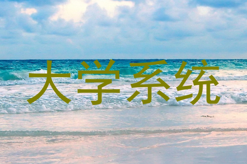大学系统