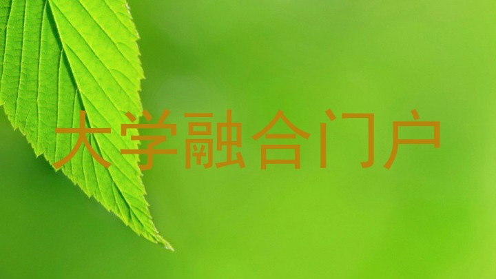 大学融合门户