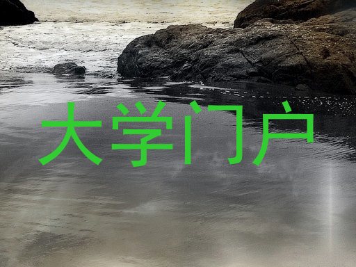 大学门户