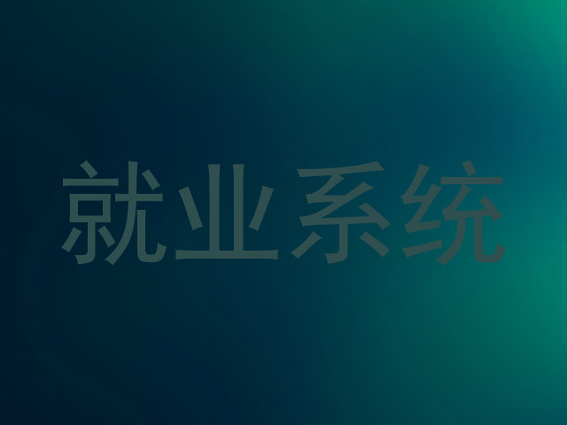 就业系统