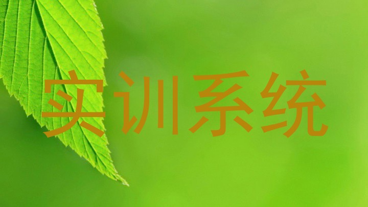 实训系统