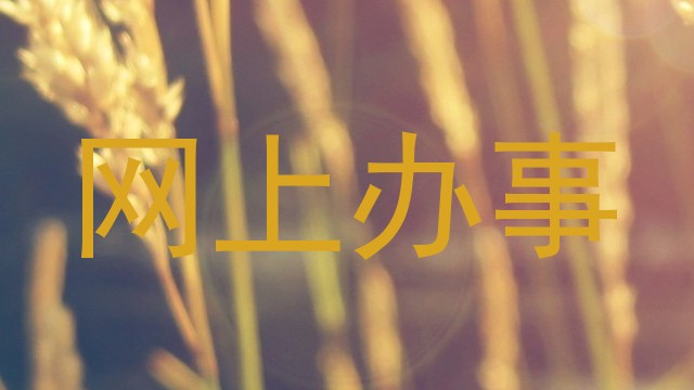 网上办事