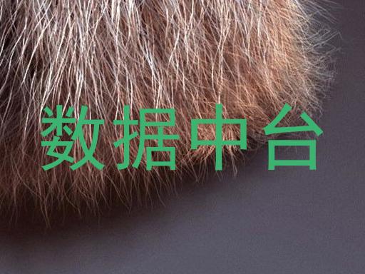 数据中台
