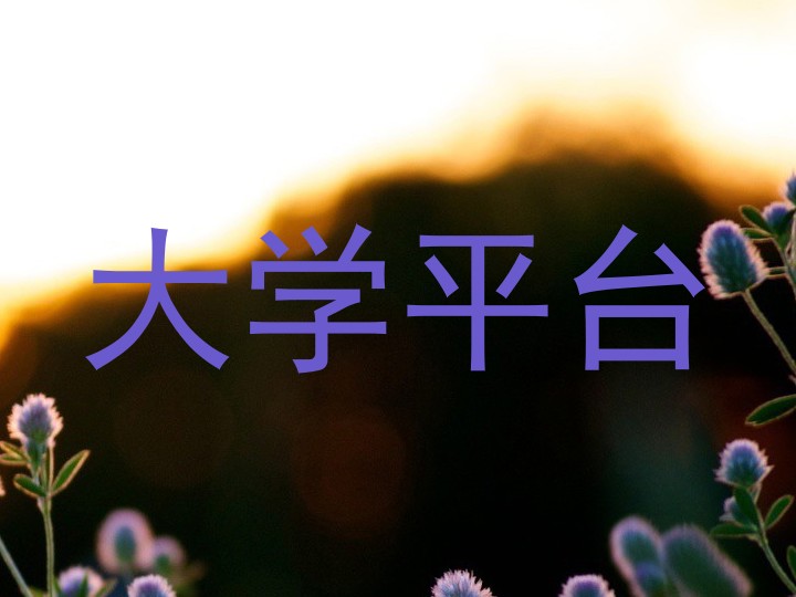 大学平台