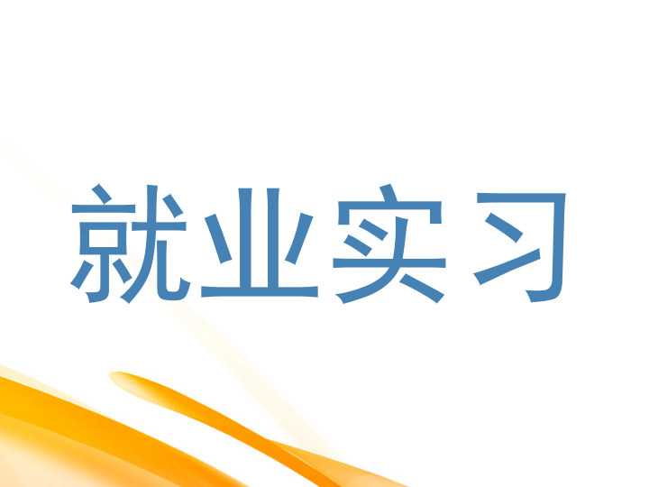 就业实习