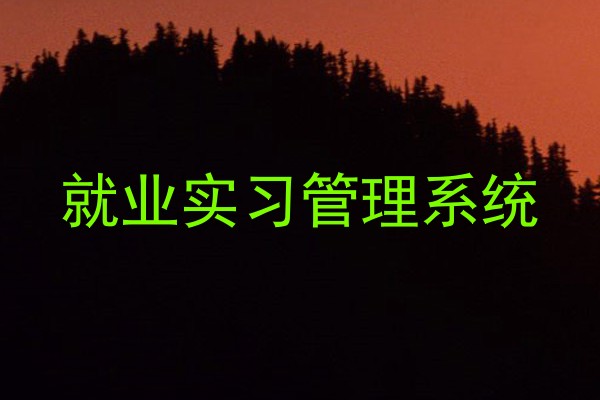 就业实习管理系统