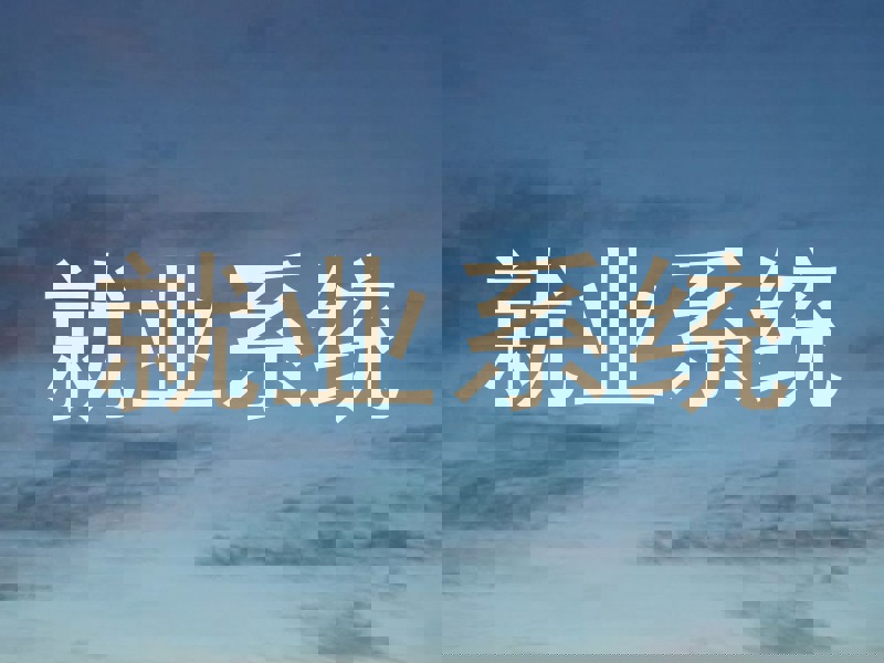 就业系统