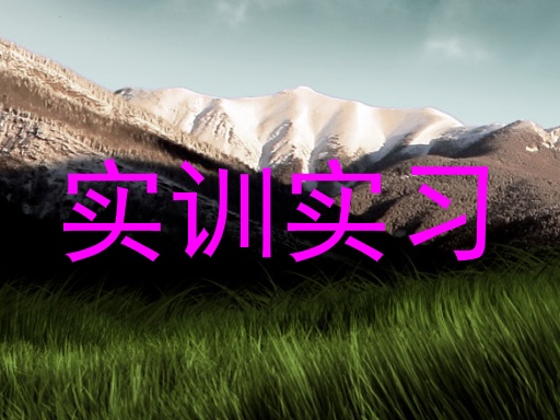实训实习