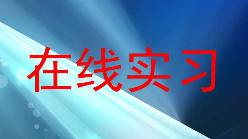 在线实习