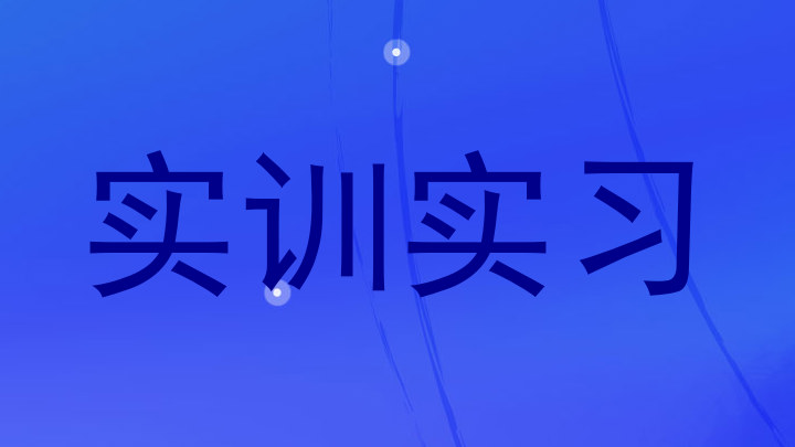 实训实习
