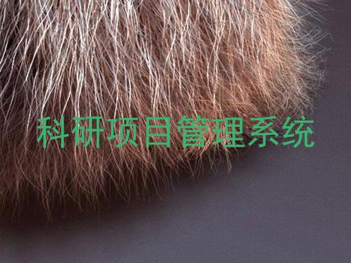 科研项目管理系统