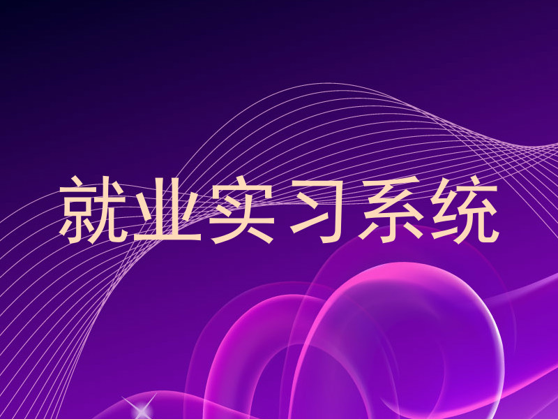 就业实习系统